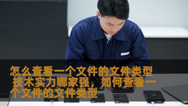怎么查看一个文件的文件类型 技术实力哪家强，如何查看一个文件的文件类型