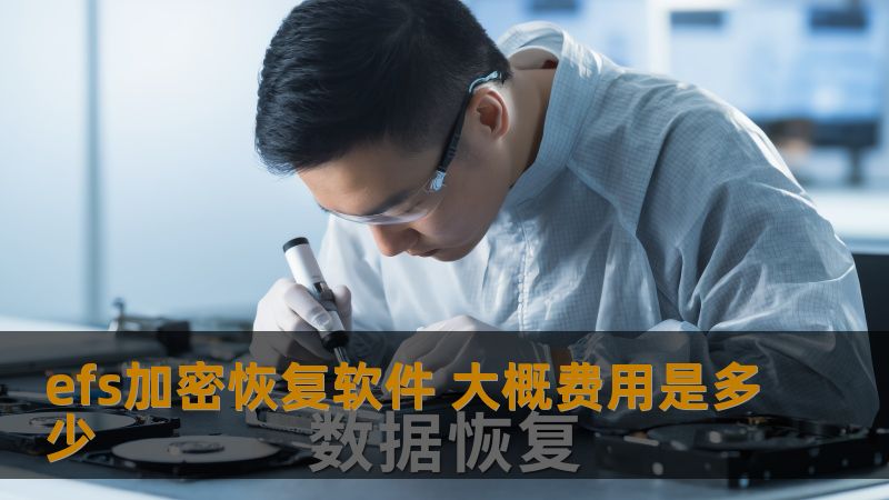 了解efs加密恢复软件的费用及使用方法，帮助您有效恢复加密文件，解决数据丢失问题。