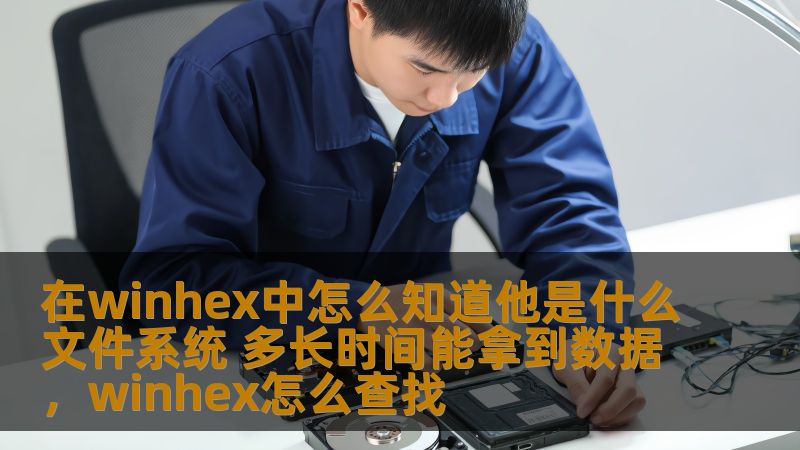 本文详细探讨了如何通过WinHex识别文件系统以及数据恢复所需的时间。无论你是数据恢复新手还是有一定经验的技术人员，本文将为你提供清晰的指导和实用的建议。