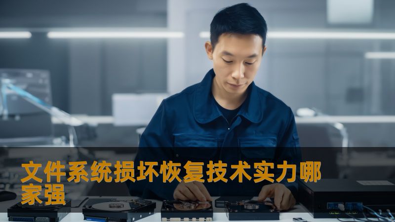 文件系统损坏恢复技术实力哪家强