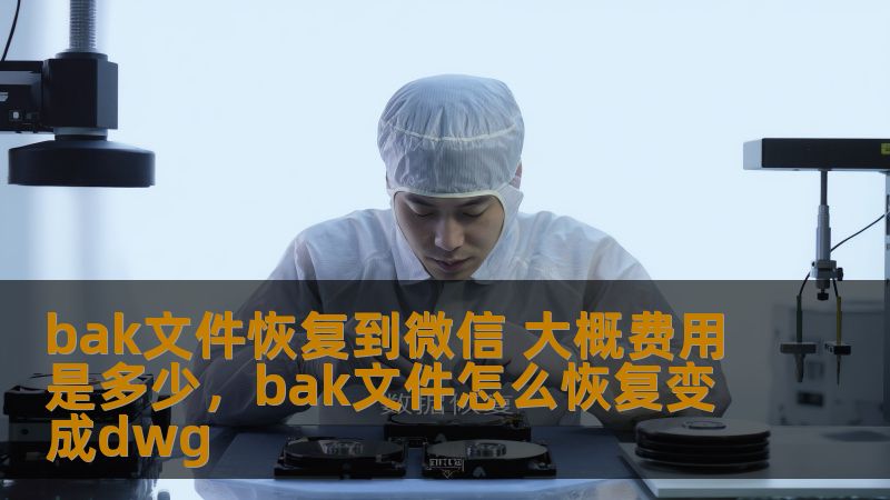 bak文件恢复到微信 大概费用是多少，bak文件怎么恢复变成dwg