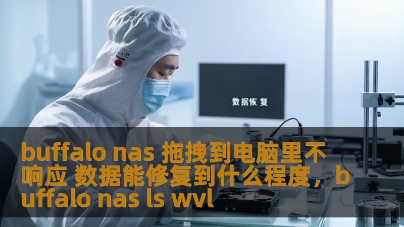 buffalo nas 拖拽到电脑里不响应 数据能修复到什么程度，buffalo nas ls wvl