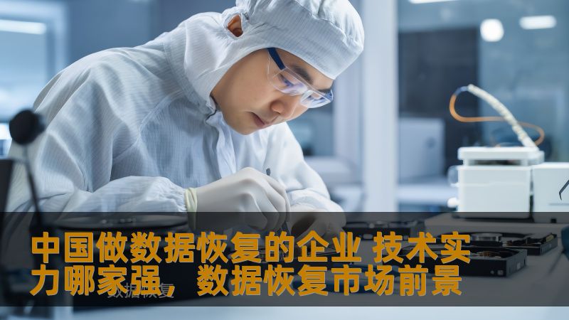 中国做数据恢复的企业 技术实力哪家强，数据恢复市场前景
