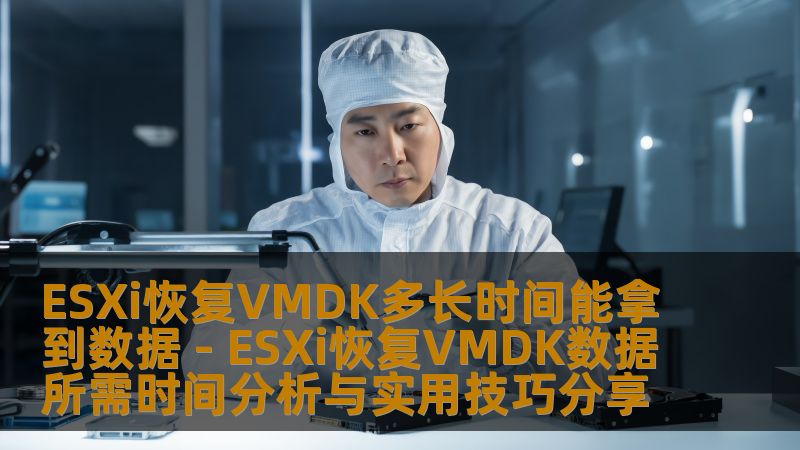 深入分析ESXi恢复VMDK数据所需时间，分享实用技巧，帮助用户快速有效地恢复数据。