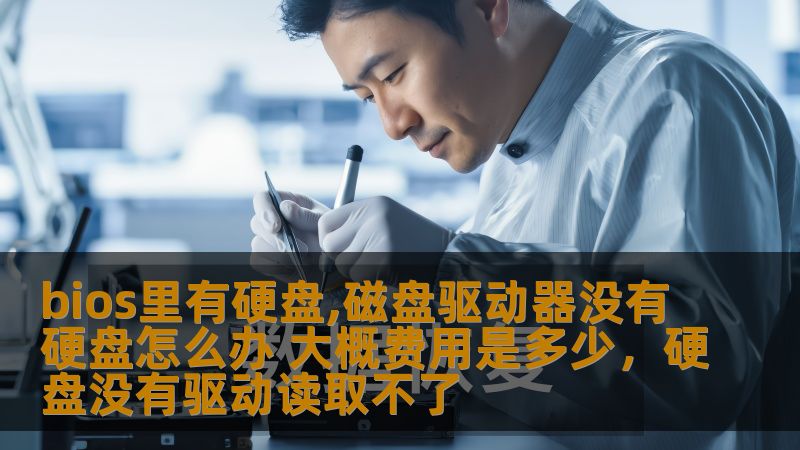 bios里有硬盘,磁盘驱动器没有硬盘怎么办 大概费用是多少，硬盘没有驱动读取不了