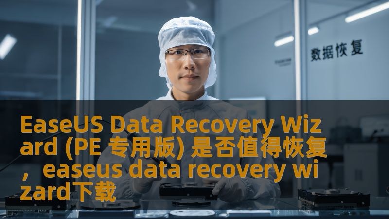 EaseUS Data Recovery Wizard (PE 专用版) 是否值得恢复，easeus data recovery wizard下载