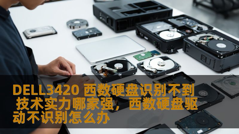 DELL3420 西数硬盘识别不到 技术实力哪家强，西数硬盘驱动不识别怎么办