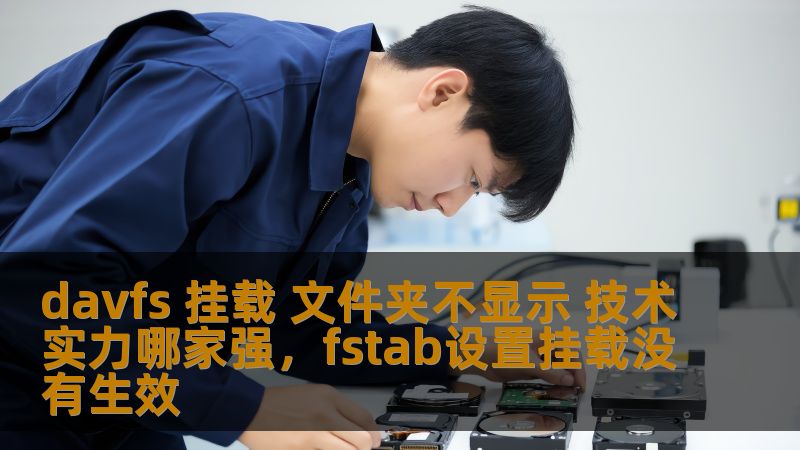 davfs 挂载 文件夹不显示 技术实力哪家强，fstab设置挂载没有生效
