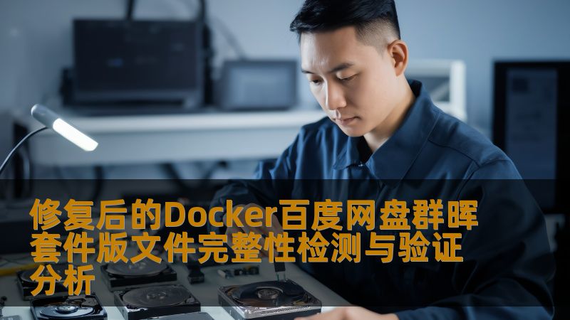 修复后的Docker百度网盘群晖套件版文件完整性检测与验证分析