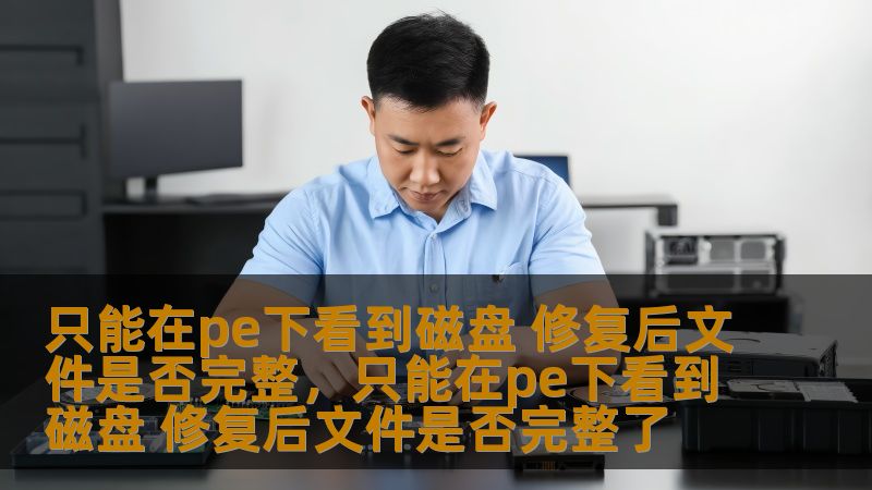 遇到“只能在PE下看到磁盘”的情况时，如何判断磁盘修复后文件是否完整？本文将详细探讨这个问题，提供有效的解决方案，帮助您恢复数据的完整性与安全性。