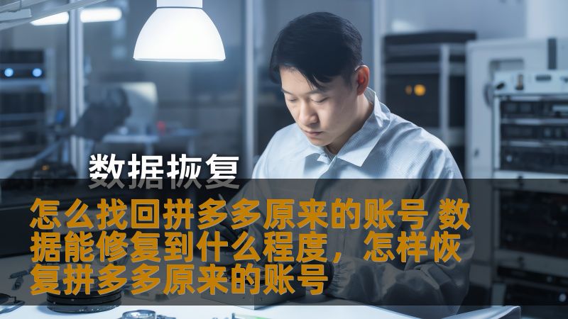 本文详细解析了如何找回拼多多原来的账号，以及拼多多的数据能修复到什么程度。无论是因为忘记密码、账户被封禁，还是其他原因导致的账号丢失，本文将提供完整的操作步骤和解决方案，帮助用户恢复账户，并最大限度地找回丢失的数据。