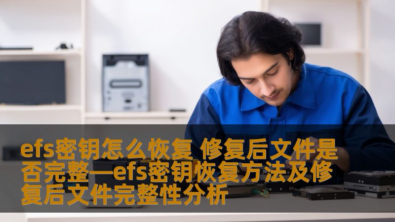 了解efs密钥恢复方法，探讨修复后文件完整性分析，确保您的数据安全。