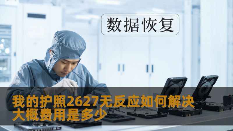 我的护照2627无反应如何解决大概费用是多少？本文为您详细介绍护照故障分析及解决方案。