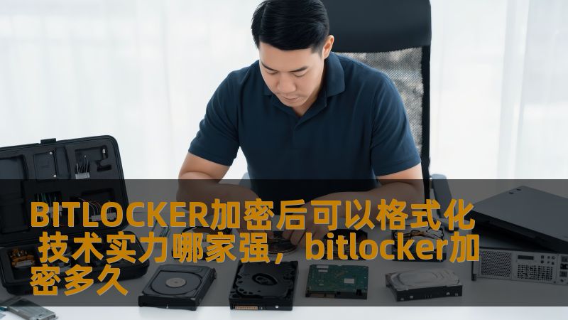 BITLOCKER加密后可以格式化 技术实力哪家强，bitlocker加密多久