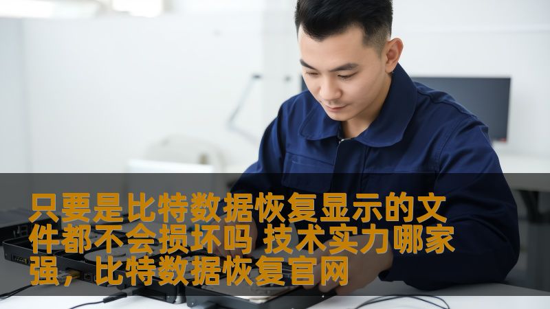 数据恢复行业一直是技术性较强的领域，其中比特数据恢复作为知名的品牌，凭借其强大的技术实力，赢得了不少用户的青睐。那么，比特数据恢复显示的文件就一定不损坏吗？哪家技术实力最强？本文将从多个角度分析，帮你解开这些疑惑。