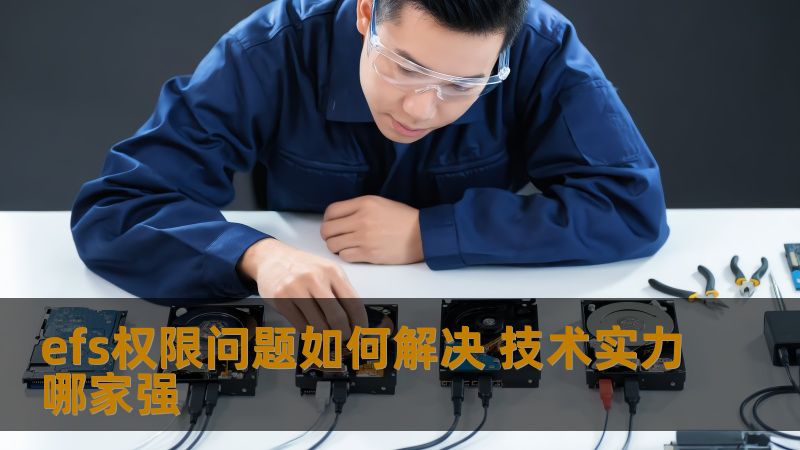 efs权限问题如何解决 技术实力哪家强