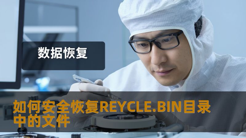 了解如何安全恢复REYCLE.BIN目录中的文件，解决误删文件的问题，掌握有效的数据恢复技巧。