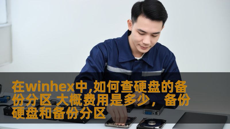 在winhex中,如何查硬盘的备份分区 大概费用是多少,备份硬盘和备份分区 在winhex中,如何查硬盘的备份分区 大概费用是多少,备份硬盘和备份分区