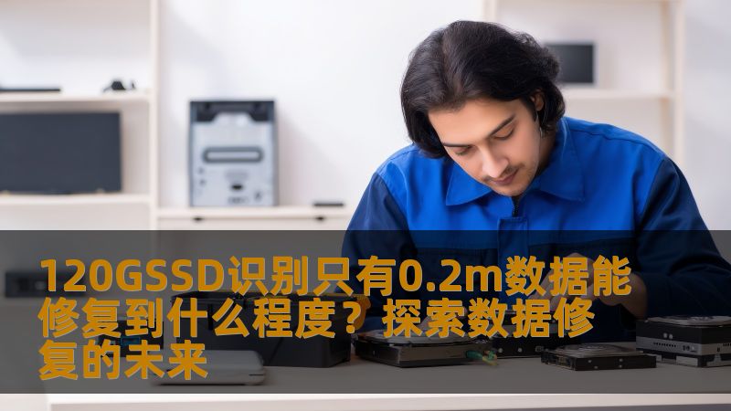 本文深度解析了120GSSD在数据恢复领域的巨大潜力，探讨了其如何通过仅有的0.2m数据实现极限修复，并展望了未来数据修复技术的发展趋势。