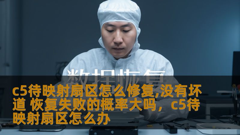 本文深入分析了C5待映射扇区的修复方法以及没有坏道的情况下，数据恢复的成功概率，帮助读者理解如何有效修复硬盘问题并提升数据恢复的可能性。