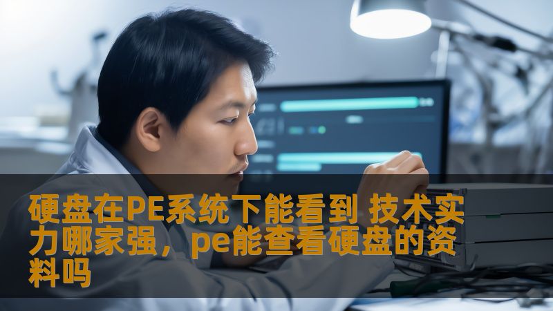 在现代计算环境中，硬盘的性能和可用性越来越重要。PE（预安装环境）系统作为一种强大的工具，它能让用户在不启动正式操作系统的情况下完成各种硬盘操作。那么，究竟哪家厂商的技术实力在PE系统下最强？本文将带您深入探讨。