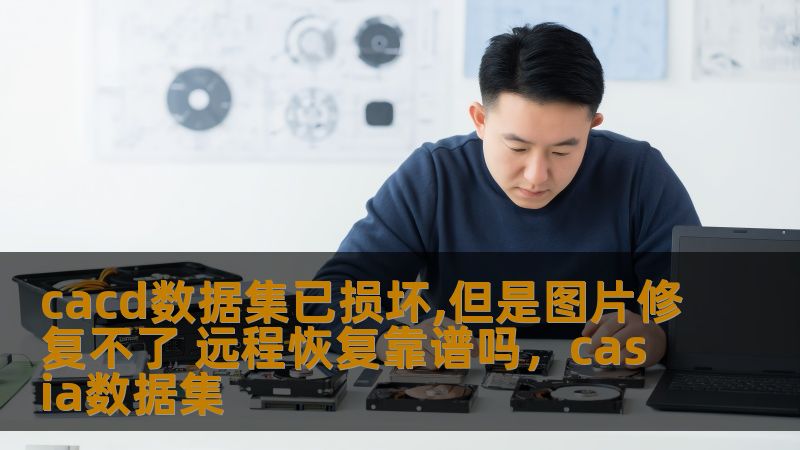 本文探讨了在CACD数据集损坏的情况下，图片修复和远程恢复的可行性。对于数据丢失的困扰，本文为大家提供了深入的分析和解决方案。