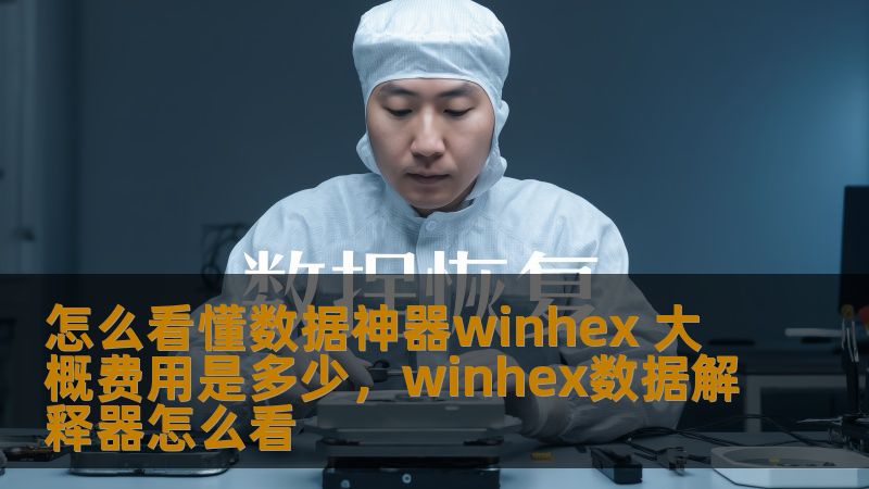 本文将介绍如何使用数据分析神器WinHex进行数据恢复、数据分析与修复，并探讨其大致费用，帮助用户更好地理解如何高效利用此工具。