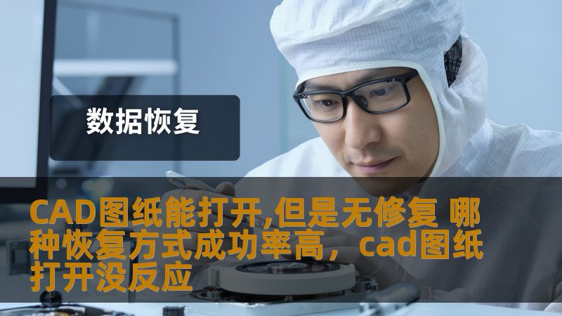 CAD图纸能打开,但是无修复 哪种恢复方式成功率高,cad图纸打开没反应 CAD图纸能打开,但是无修复 哪种恢复方式成功率高,cad图纸打开没反应