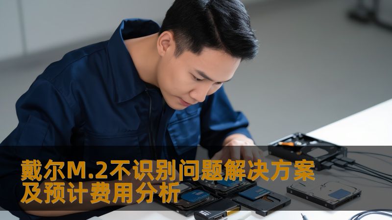 深入分析戴尔M.2不识别问题，提供详细解决方案及费用分析，助您轻松应对各种硬盘故障。