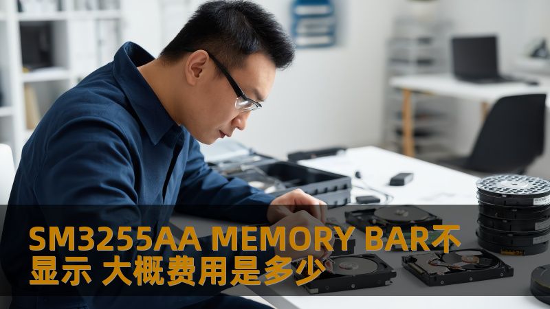 SM3255AA MEMORY BAR不显示问题解决方案及费用估算分析，帮助用户快速找出故障原因与解决方案。