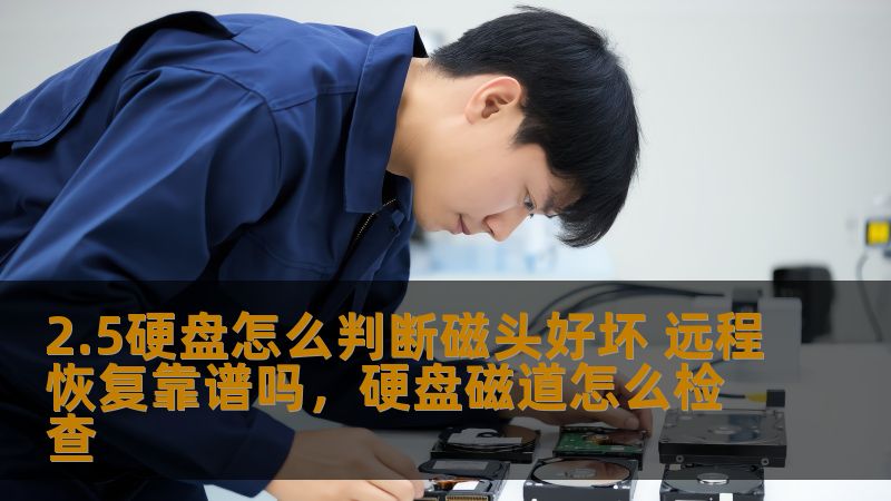 本文将为您详细介绍如何判断2.5英寸硬盘的磁头是否损坏，并深入探讨远程硬盘恢复的可行性与安全性。无论您是技术新手还是资深硬盘用户，都能从中获得重要的技巧与见解。