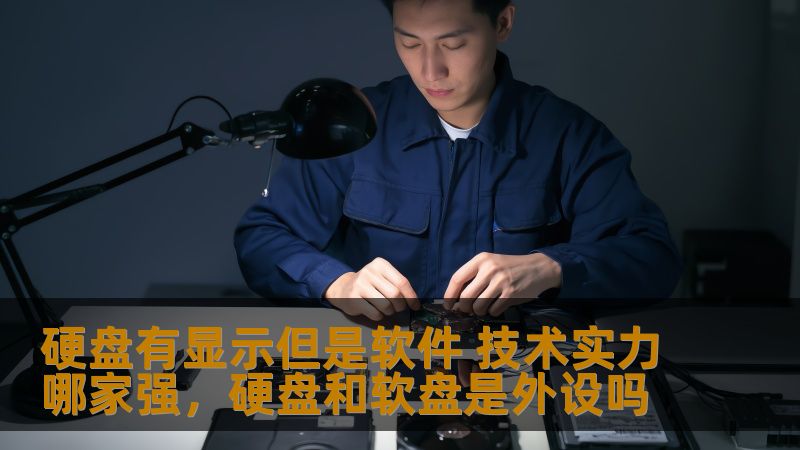 当硬盘有显示但无法正常运行时，背后究竟隐藏着哪些技术挑战？让我们一起探讨如何选择高技术实力的软件公司，以解决这一棘手问题。