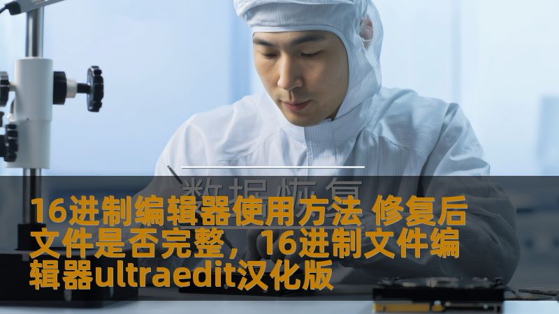 本文详细介绍了16进制编辑器的使用方法，并探讨了在文件修复后如何检查其完整性。通过详细的步骤和技巧，帮助您轻松掌握16进制编辑器的使用，确保修复后的文件不出现任何问题。