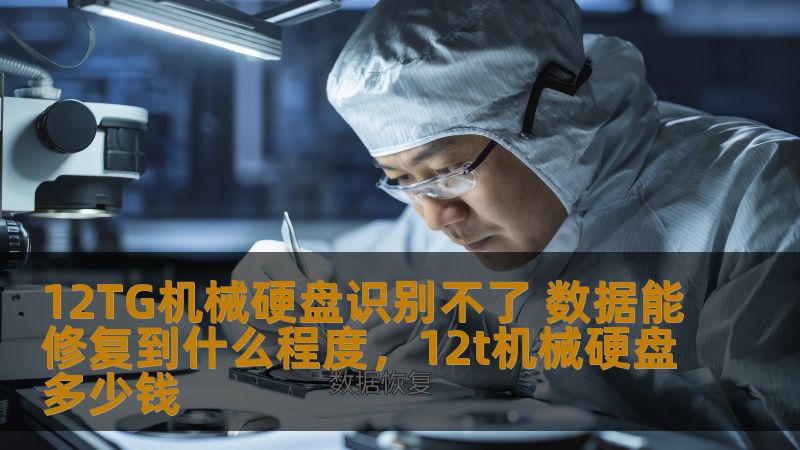 如果你的12TG机械硬盘突然无法识别，别慌！本文将深入分析12TG机械硬盘无法识别时的数据修复可能性，为你提供解决方案，帮助你挽回珍贵数据。