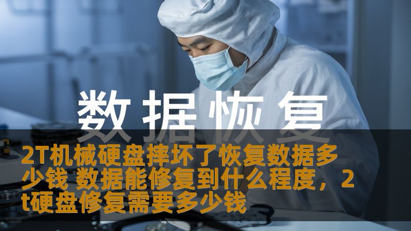 了解摔坏的2T机械硬盘恢复数据的费用与恢复程度，避免数据丢失带来的困扰！本文带您深度分析硬盘损坏后的恢复流程与费用情况，帮助您做出明智选择。