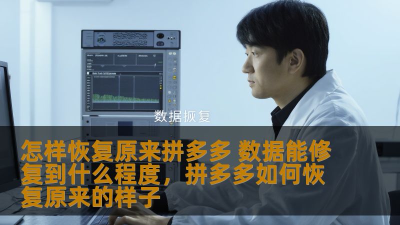 在数字化时代，数据恢复成为了每个拼多多商家不可忽视的问题。本文将深入探讨如何恢复拼多多的数据，修复的具体步骤以及可恢复的数据类型，帮助商家保障数据安全与业务连续性。