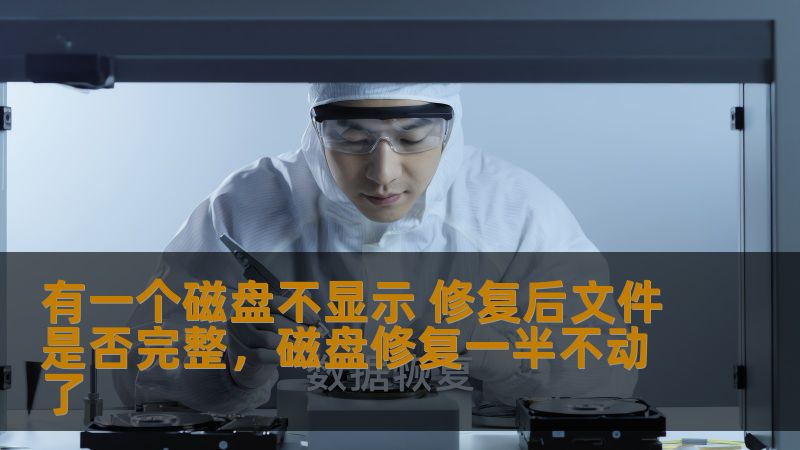 磁盘不显示问题困扰着许多用户，究竟修复后能否找回丢失的文件？本文为您揭开数据修复的秘密，分析常见磁盘故障的修复方法及成功恢复的关键因素，让您不再为数据丢失而担忧。