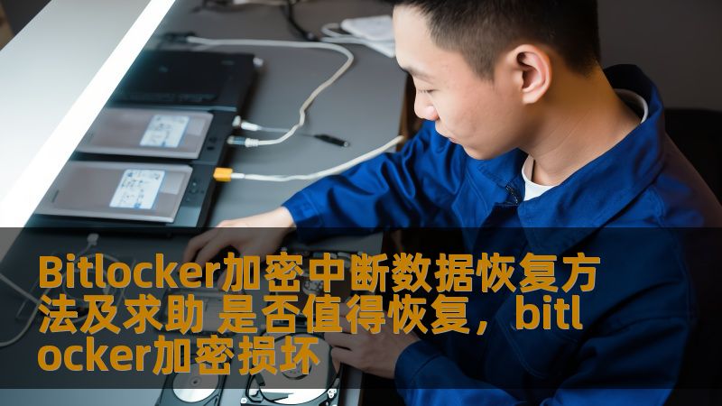 Bitlocker加密中断数据恢复方法及求助 是否值得恢复,bitlocker加密损坏 Bitlocker加密中断数据恢复方法及求助 是否值得恢复,bitlocker加密损坏