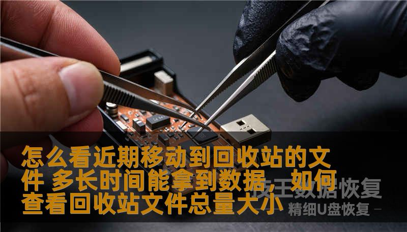 本文将为您详细介绍如何查看近期移入回收站的文件，并解答数据恢复的时效性问题。无论是意外删除还是需要恢复重要文件的用户，都能从本文获得实用的指导。