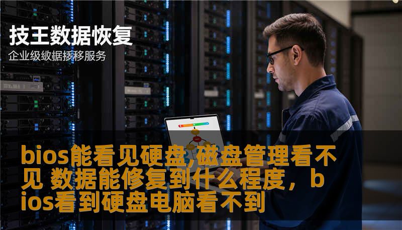 本文深入探讨了硬盘数据丢失和损坏的常见问题，为什么Bios能识别硬盘，但磁盘管理却无法显示？同时，详细分析了数据修复的可能性与效果，让你全面了解硬盘问题与解决方案。