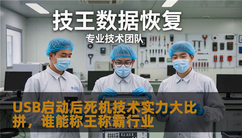 USB启动后死机技术实力大比拼，深入分析常见故障及解决方案，助您快速恢复数据，称霸行业。