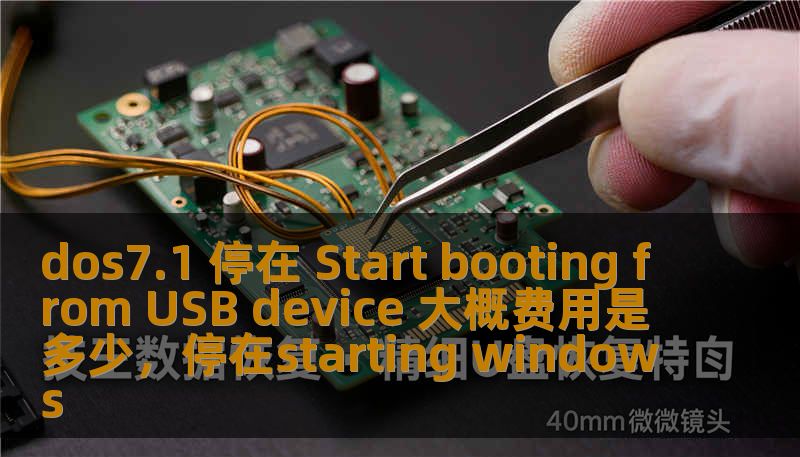 dos7.1 停在 Start booting from USB device 大概费用是多少，停在starting windows