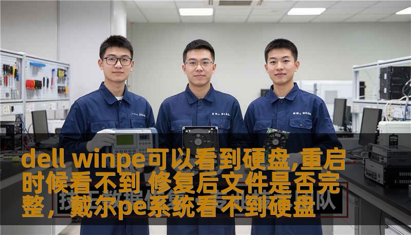 本文将详细探讨在使用DellWinPE时遇到硬盘在重启后无法显示的问题，并提供修复方案。同时，分析在修复过程中如何确保文件的完整性，避免数据丢失。