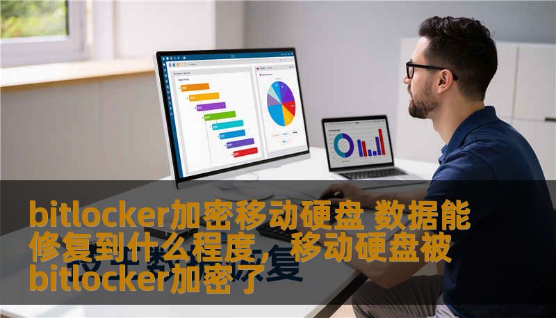 本文将深入探讨BitLocker加密移动硬盘在数据损坏或丢失情况下的修复可行性。详细分析了数据修复技术的原理、现有的恢复工具以及修复后的数据恢复效果，为您提供全方位的数据恢复解决方案。