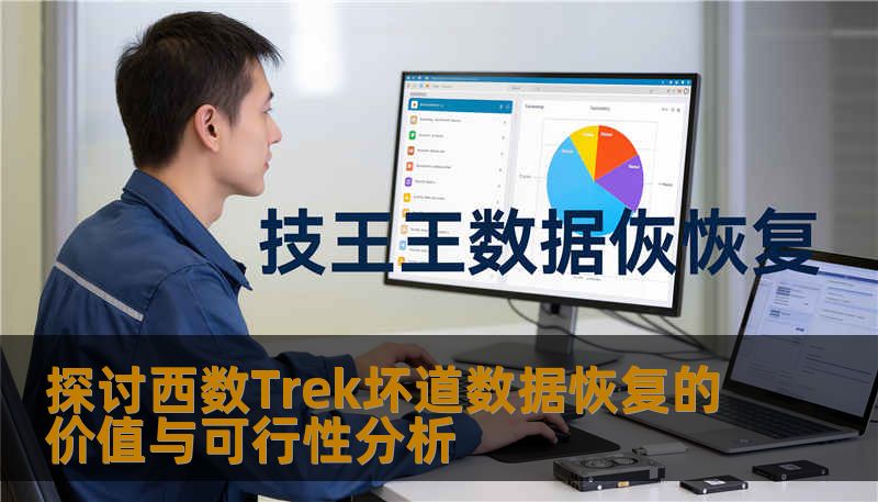 探讨西数Trek坏道数据恢复的价值与可行性分析，深入分析常见故障及恢复方法，提供真实案例与操作指导。