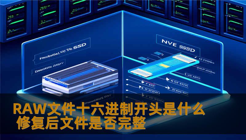 RAW文件十六进制开头是什么 修复后文件是否完整