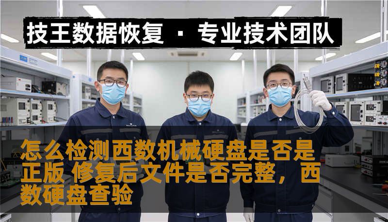 本文将详细介绍如何检测西数机械硬盘是否为正版以及在硬盘修复后，如何验证文件的完整性。为用户提供实用的操作步骤和技巧，确保数据安全。
