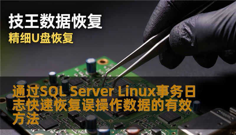 通过SQL Server Linux事务日志快速恢复误操作数据的有效方法，助您轻松应对数据丢失问题。