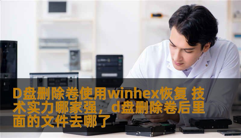 D盘删除卷使用winhex恢复 技术实力哪家强，d盘删除卷后里面的文件去哪了