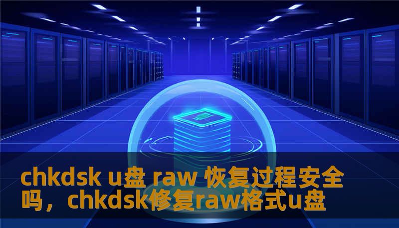 本文详细探讨了使用CHKDSK工具恢复U盘RAW格式数据的安全性和有效性，为你带来最真实的恢复体验解析，帮助你更好地了解数据恢复的过程。